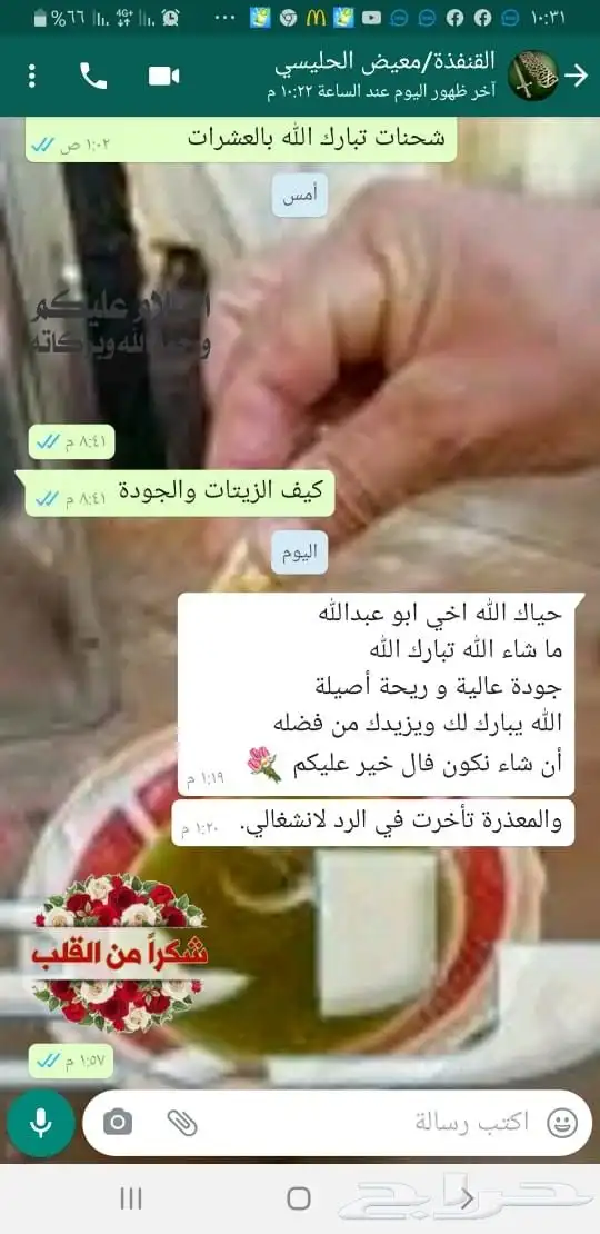 زيت زيتون فلسطيني نابلسي جبلي بعل على المطر عالي الجودة 30