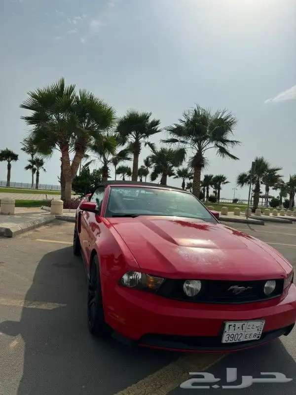 موستنج GT 2011 كشف 8 سلندر 5.0 للبيع أو البدل المناسب 11