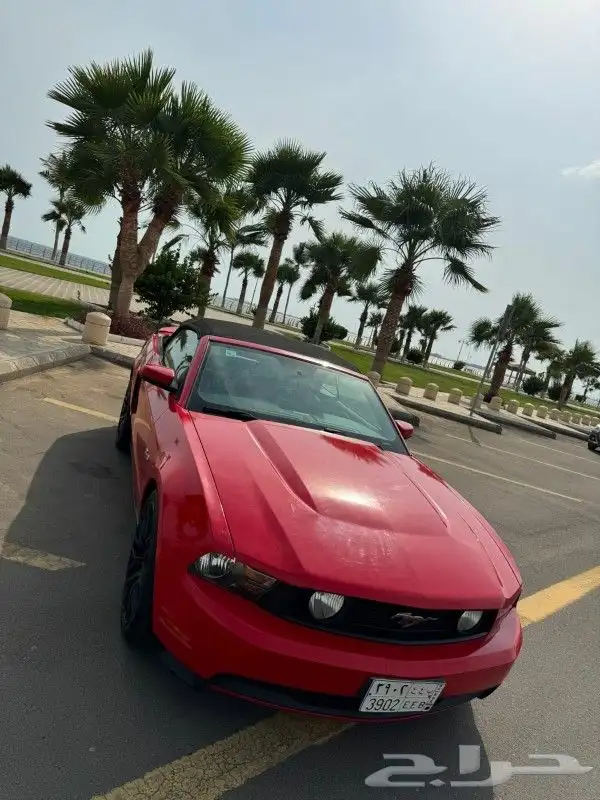 موستنج GT 2011 كشف 8 سلندر 5.0 للبيع أو البدل المناسب 3