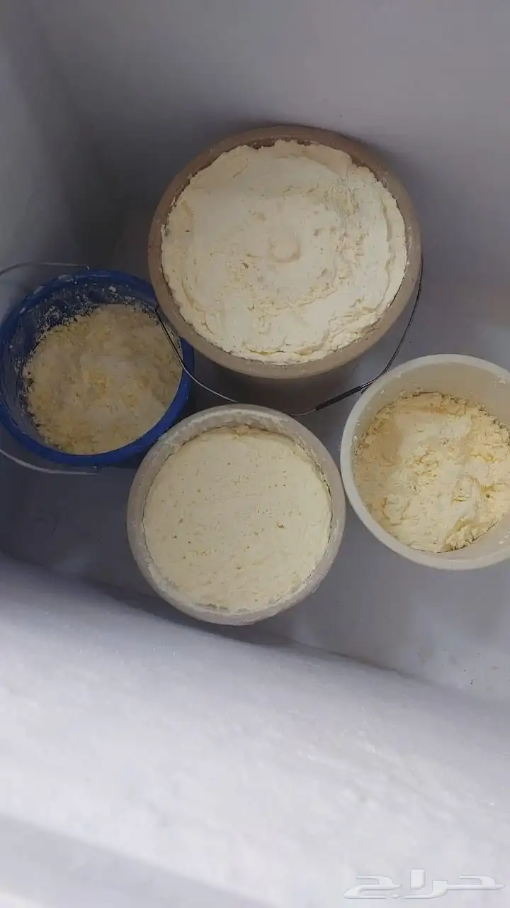 ماشاءالله سمن على الشرط 1