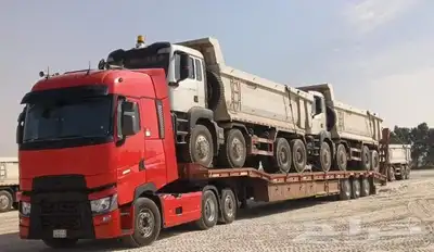 موجود لوبد في الحساء ادمام 0