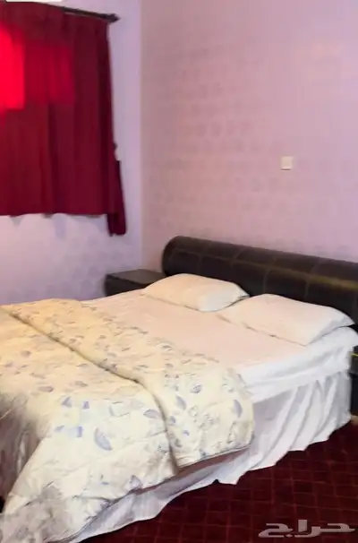 دور مفروش للايجار 2