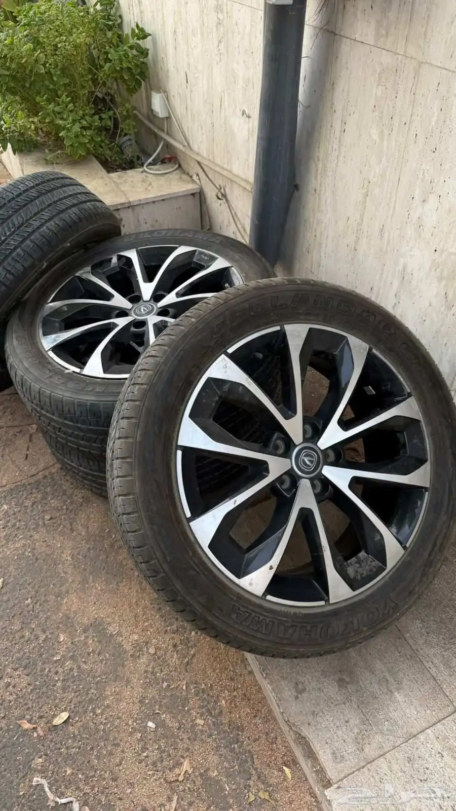 جنوط شانجان CS85 2021 index