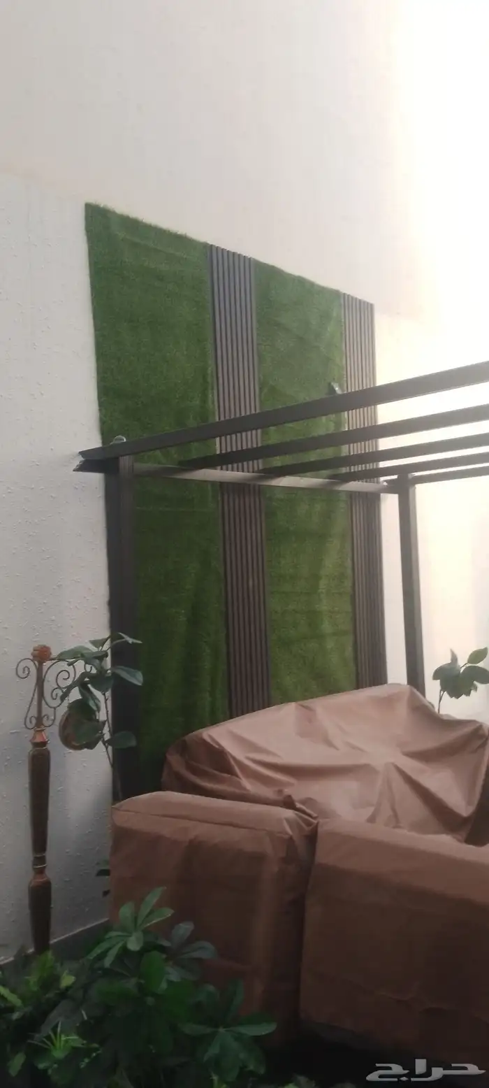 الواح شيبرد. مع مريات ليزر 4