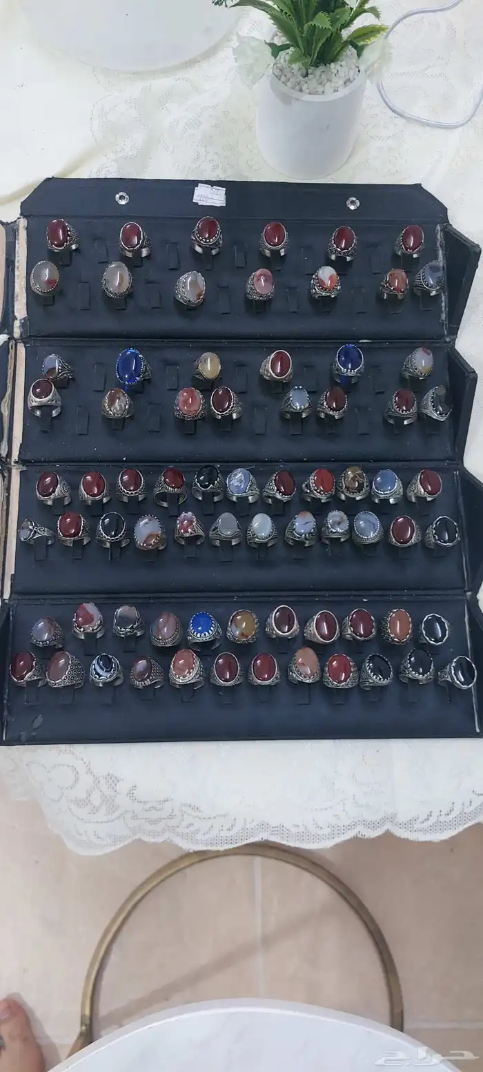 المدينه المنوره حي العريض 0