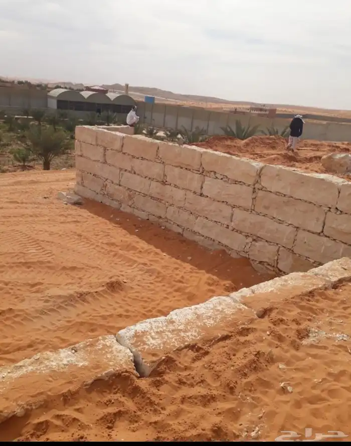 الرياض 2