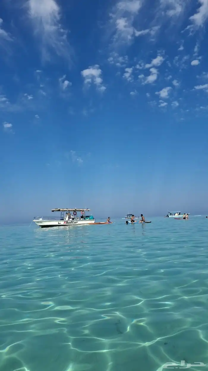 إليك أفضل الخيارات لرحلات صيد  والسباحة في جزيرة بياضة 6