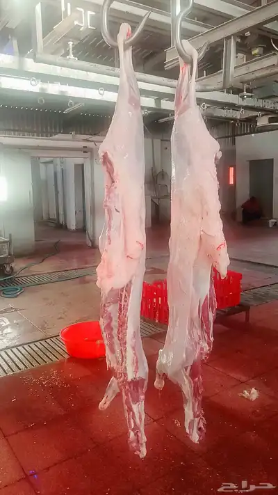 ذبيحتك لباب بيتك 0
