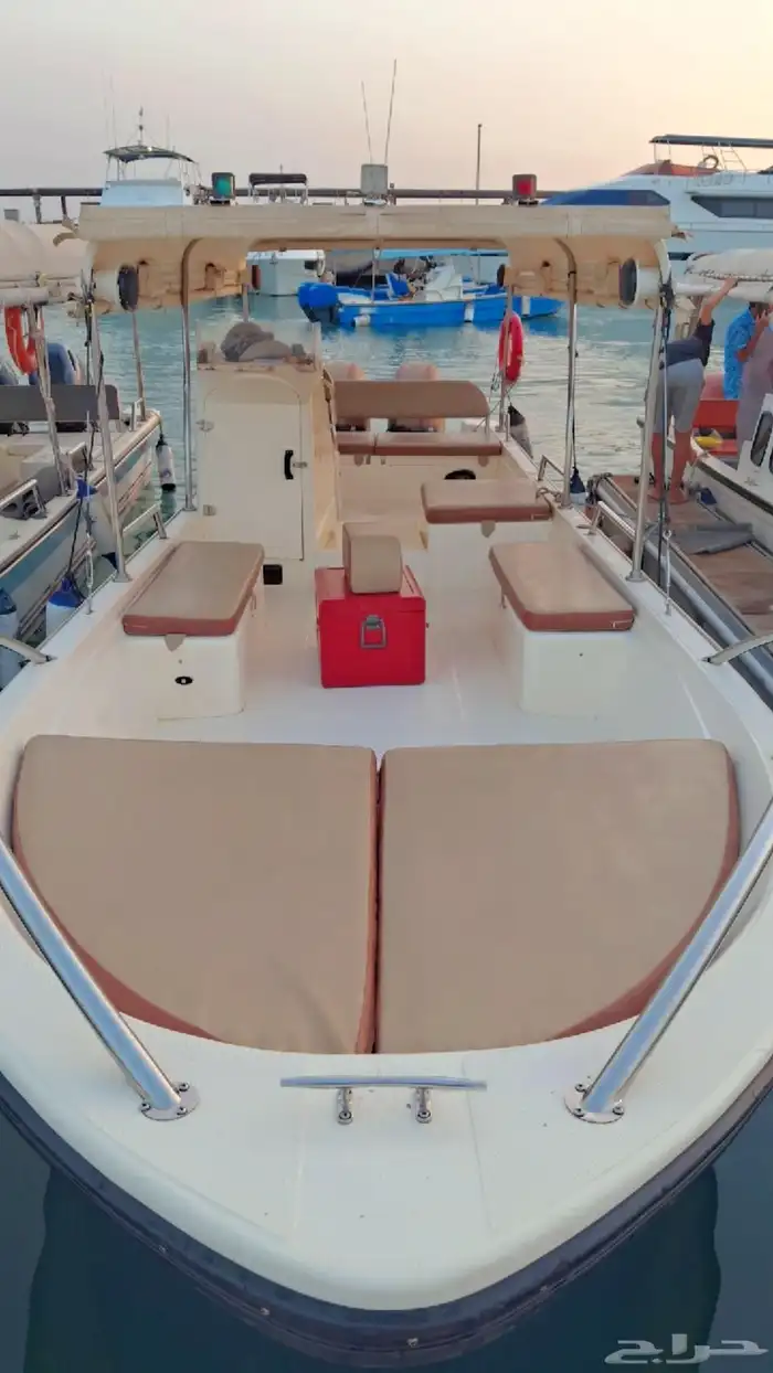 إليك أفضل الخيارات لرحلات صيد  والسباحة في جزيرة بياضة 1