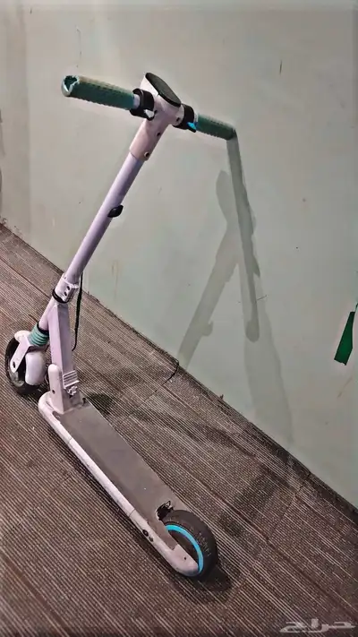 شرع المنصوره 1