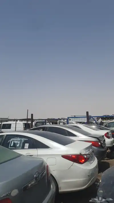 جميع انواع سيارات هونداي سوناتا جنسس ازيرا برادو ويرا 8