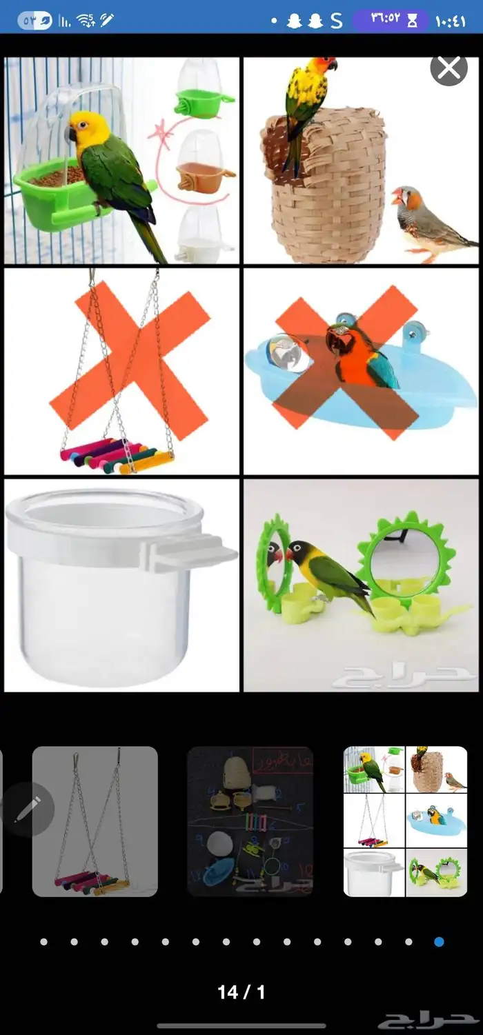 العاب طيور وملحقات قفص للروز والكناري والكروان 2