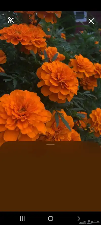 كتب واجهزة 0