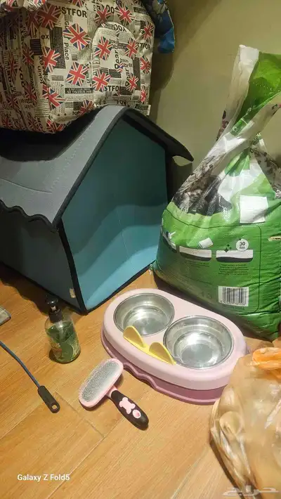 أدوات قطط وسمك للتنازل 0