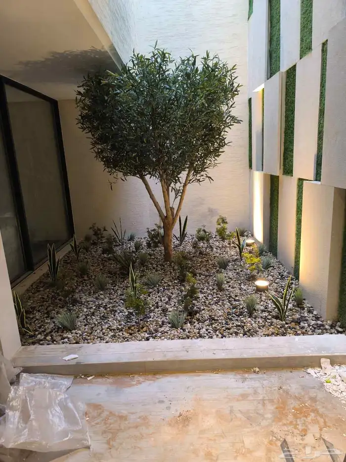 تنسيق اشجار زينه 3