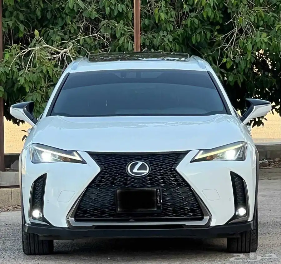 لكزس UX 2020 F SPORT index