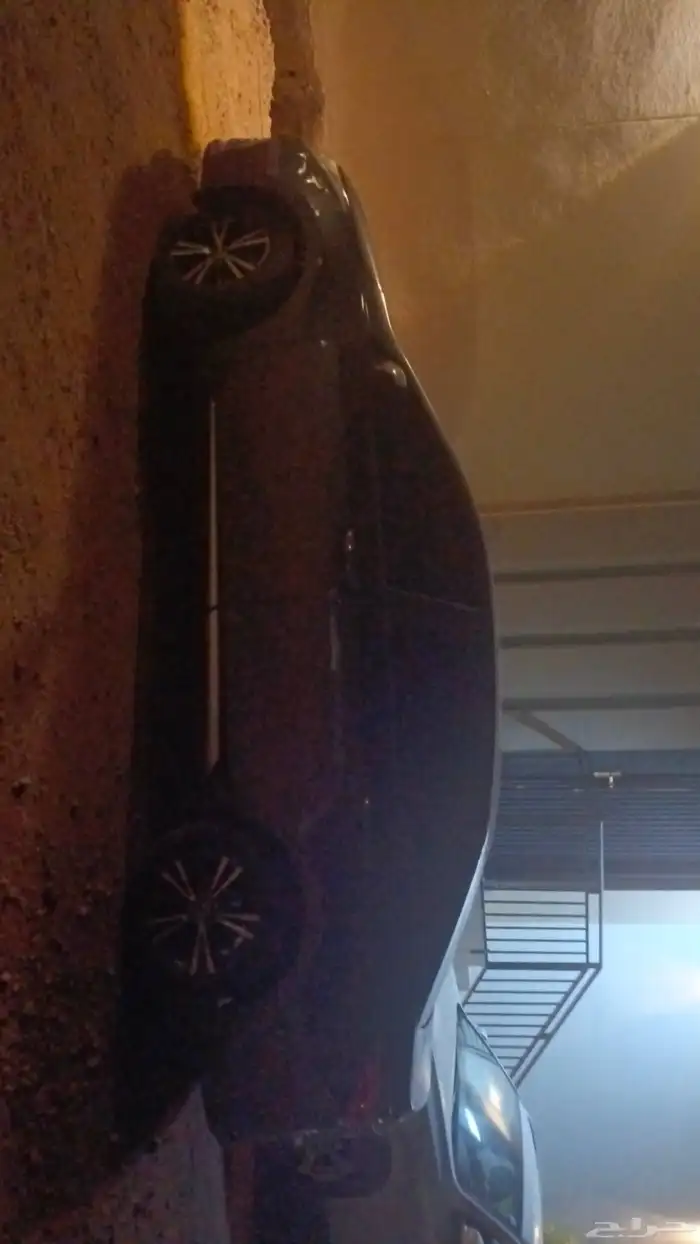 كورلا 2019 1