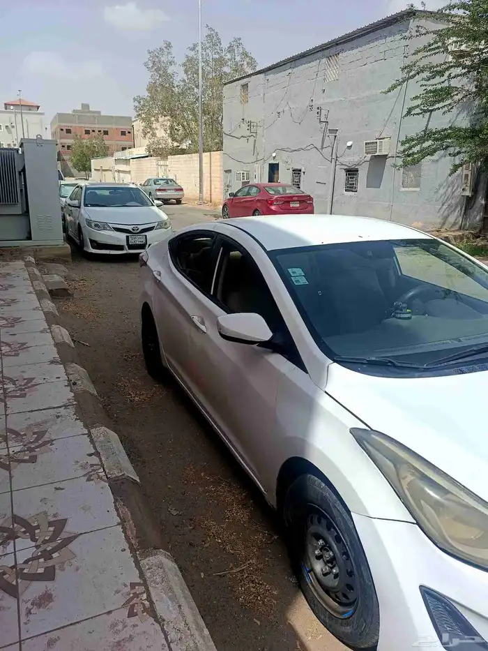 النترا 2015 3