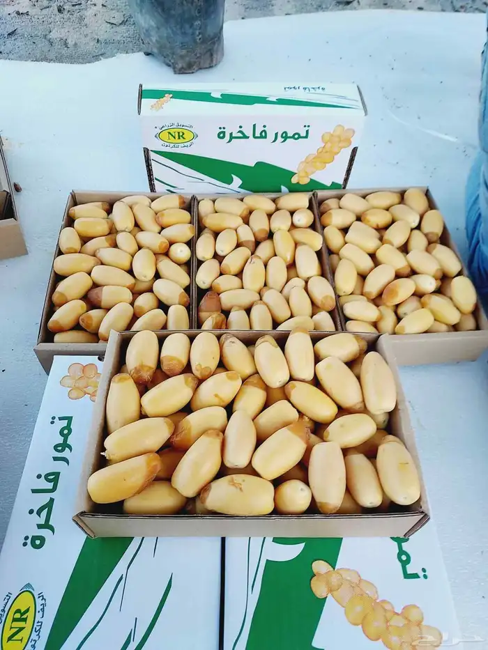 يوجد عمال خراف. خبره 6
