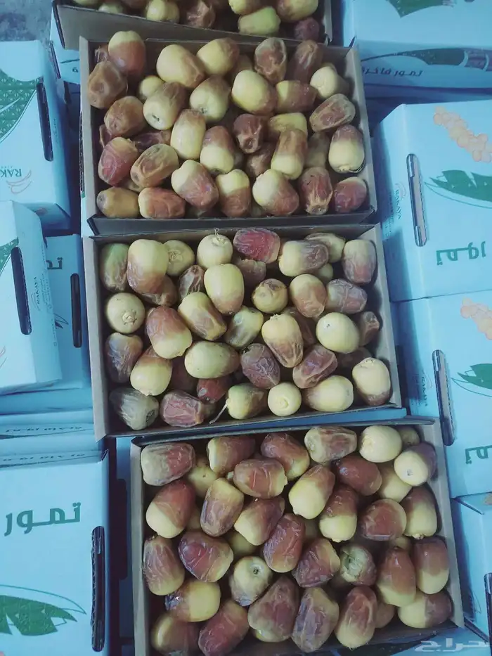 يوجد عمال خراف. خبره 0
