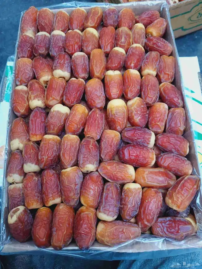 يوجد عمال خراف. خبره 9