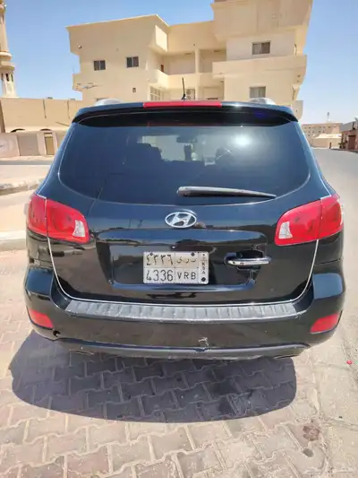 سنتافي 2010 4