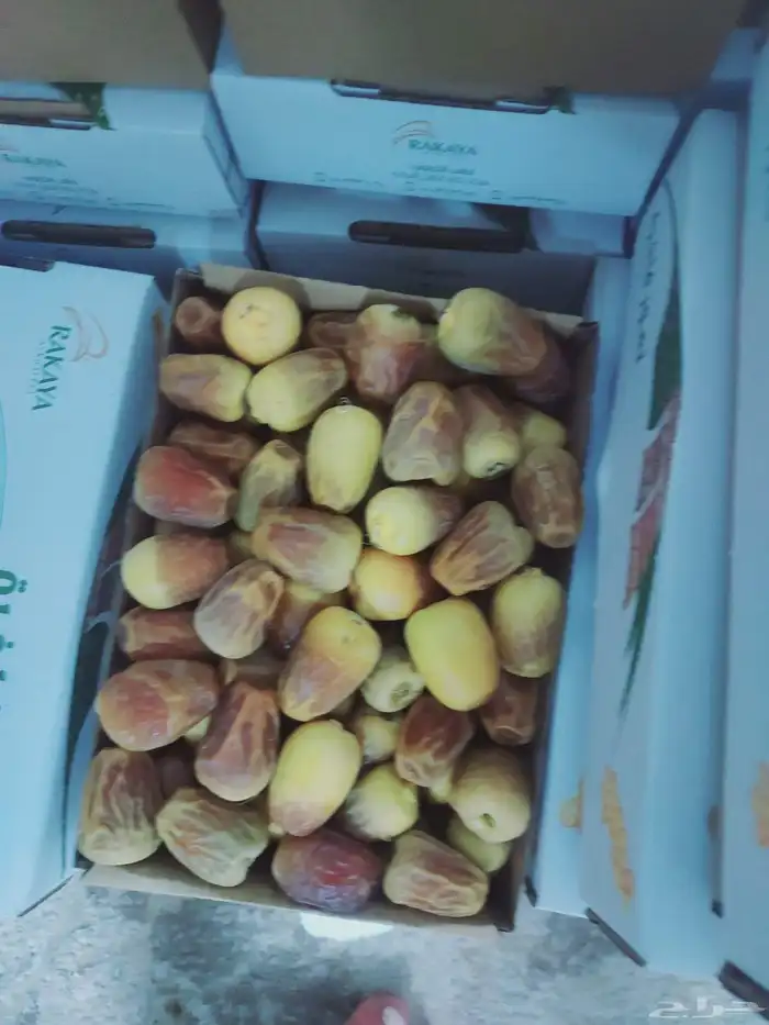 يوجد عمال خراف. خبره 1
