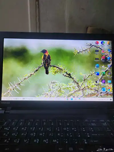 لاب توب توشيبا 3