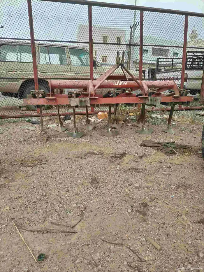 مش فين 1
