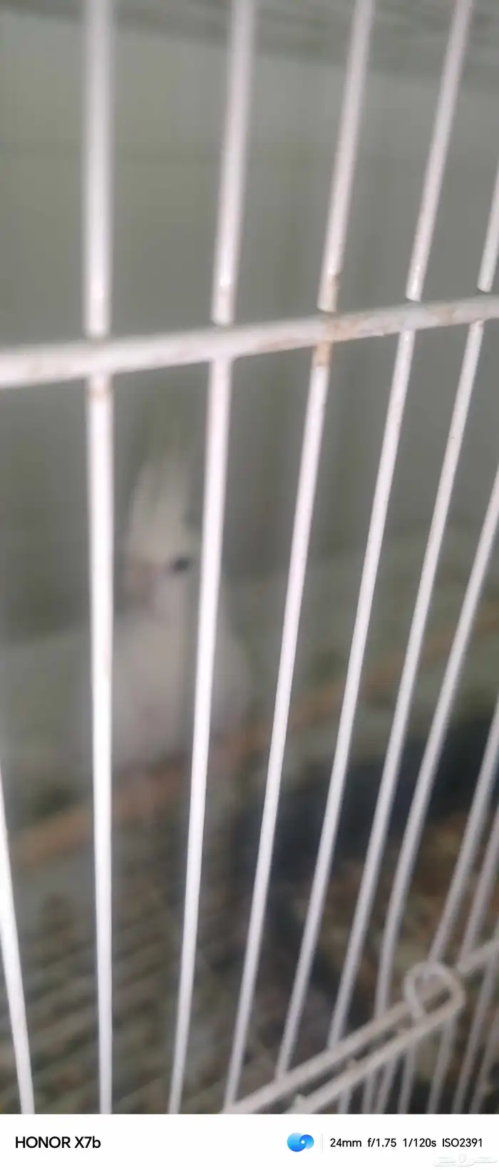 مكة المكرمه 2