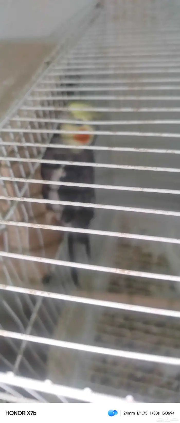 مكة المكرمه 1