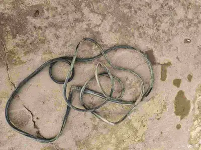 كابرس 1989 3
