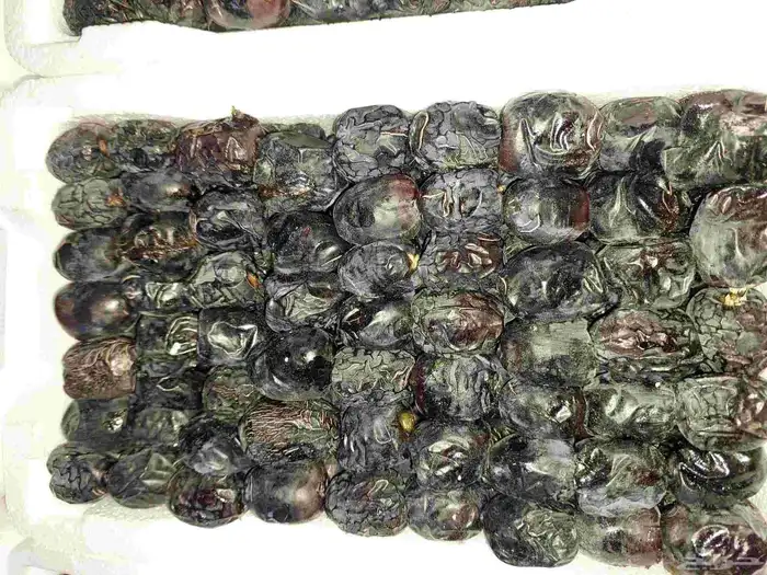 عجوه عضوي 2