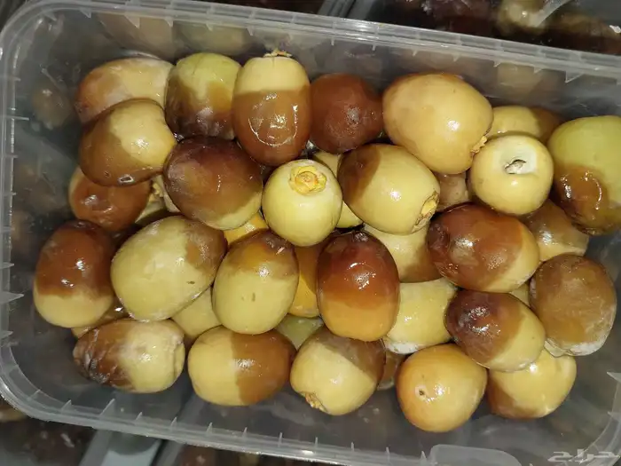 رطب 3