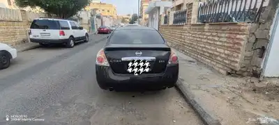 التيما 2008 1