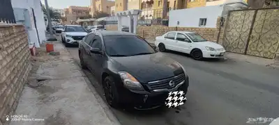 التيما 2008 2