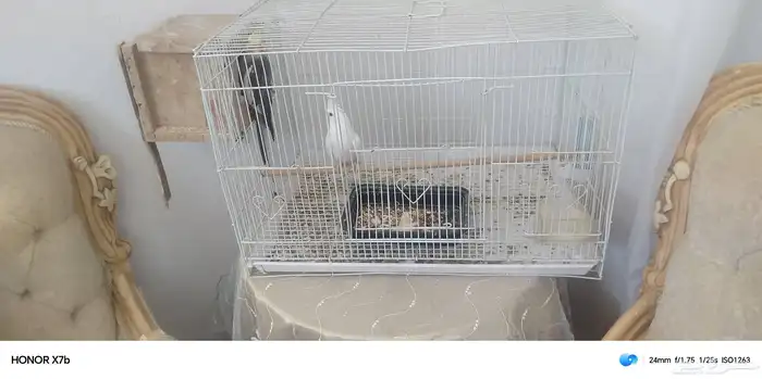 مكة المكرمه 0