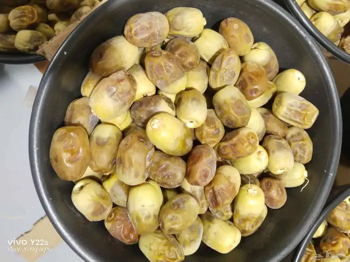 خلاص الحوطه دخيني سلج شيشي سكري مناصيف 7