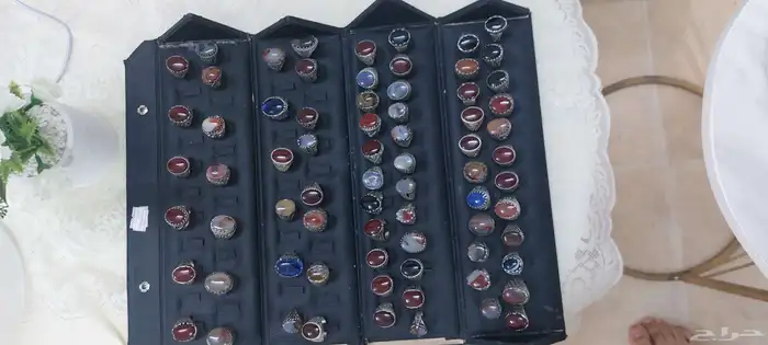 المدينه المنوره حي العريض 2