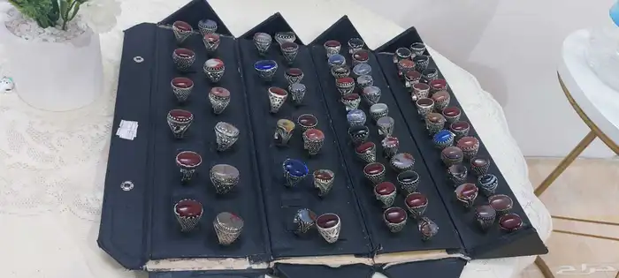 المدينه المنوره حي العريض 1