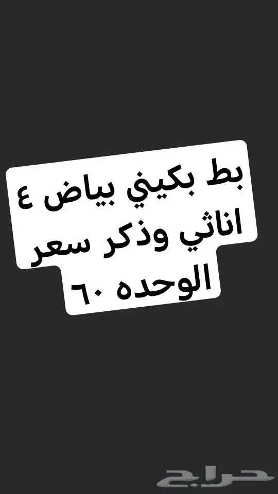 بط بكيني بياض للبيع 4 اناثي وذكر سعر الوحده 60 0