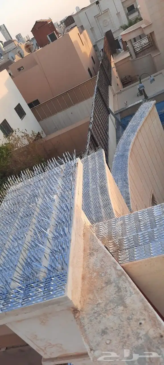 طارد حمام تركيب شبك و اشواك مانع الحمام 5