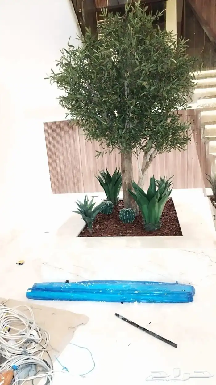 تنسيق اشجار زينه 4