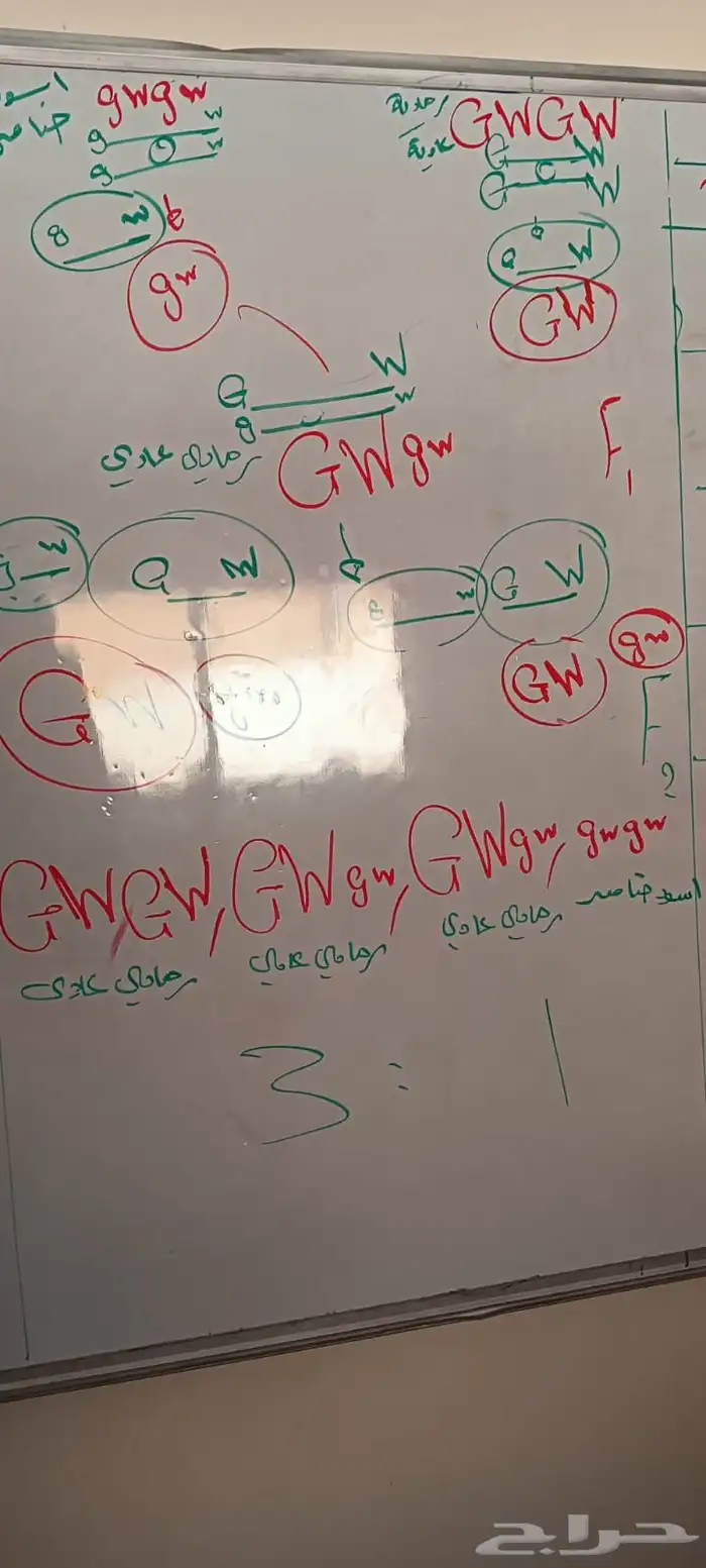معلم تأسيس و مواد علمية 0