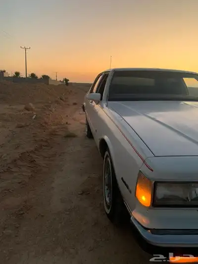 كابرس 1989 3