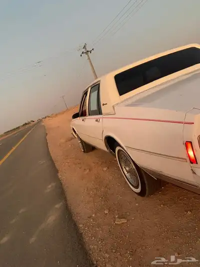كابرس 1989 1