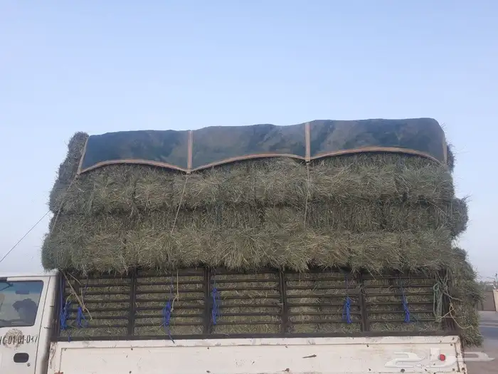 الاعلاف البيع 1