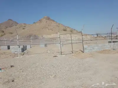 مقاول شبوك 3