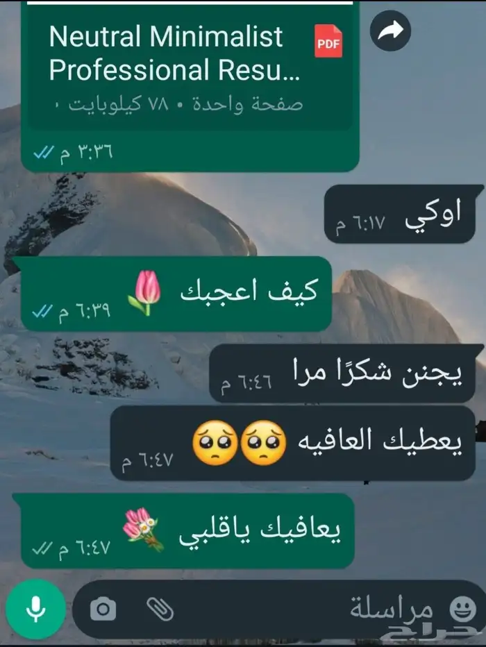 سيرة ذاتية CV 47