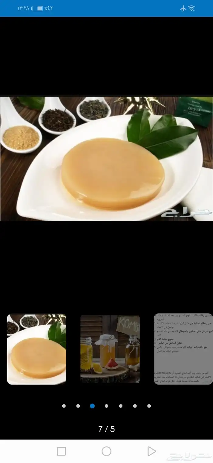 شاي كمبوتشا لتقويةالمناعه ومحاربة الامراض 0